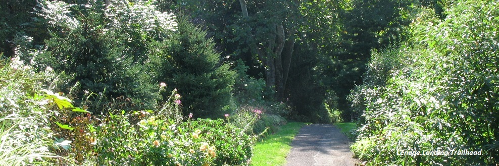 lenape landing trailhead narrow